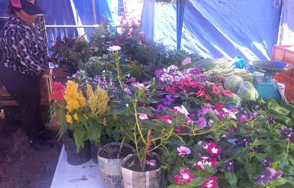 La Feria de las Flores de Chicá florece este año