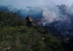 ¡Cuida las áreas protegidas! Policía Ambiental ha atendido 11 incendios de masa vegetal