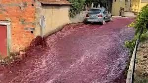 Un río de vino tinto inunda las calles de un pueblo de Portugal