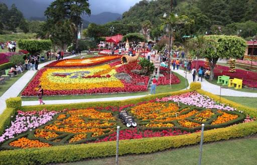 Feria de las Flores y del Café se llevará a cabo del 13 al 23 de enero de 2022
