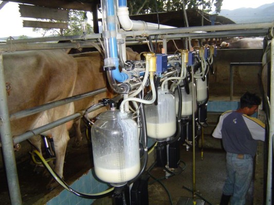 Producción de leche peligra por cierres de calles