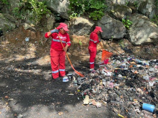 Podrán las 'hormiguitas rojas' limpiar la basura en Veracruz