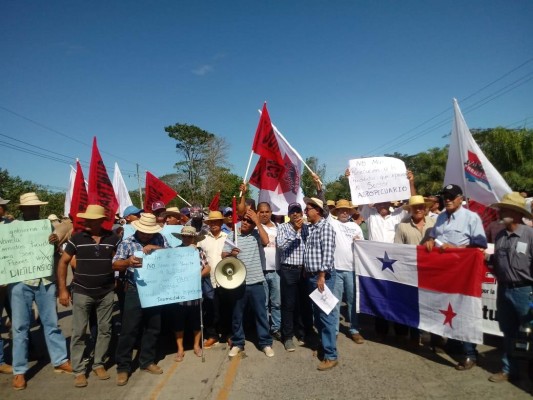Con protesta, agricultores exigen al Gobierno un freno a las importaciones