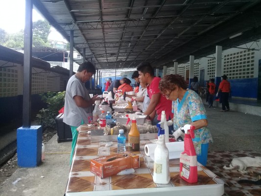 Spay realiza gran jornada de esterilización en San Miguelito