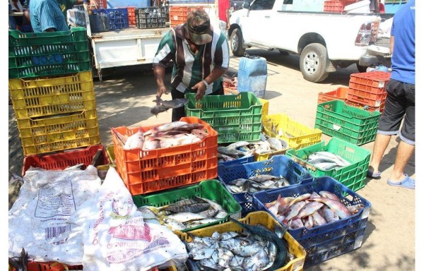 Pescado Por Las Nubes En El Interior