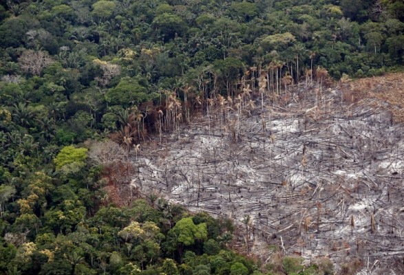 Fotografía de un terreno de selva deforestado, el 22 de febrero de 2020, en el Parque Nacional Natural Tinigua, en el departamento del Meta (Colombia).