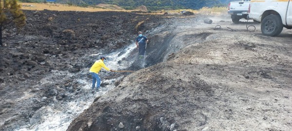 Controlan incendio de masa vegetal en el Parque Nacional Volcán Barú