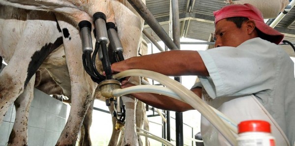 Procesadores de leche piden un alto a la violencia y solicitan libre tránsito 