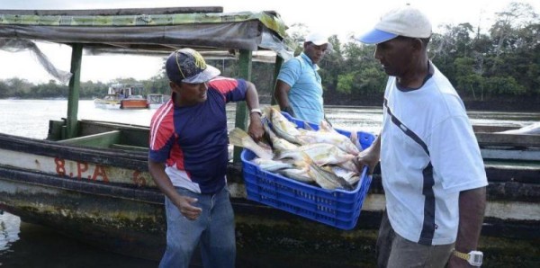 La Cámara de Pesca aclara que la 'pesca de arrastre' no es nueva en el país