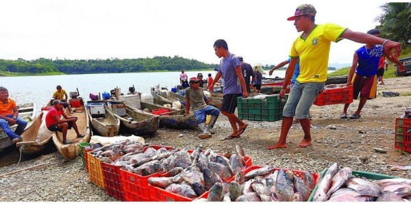 Movimiento de Pescadores Artesanales pide que las calles sean reabiertas