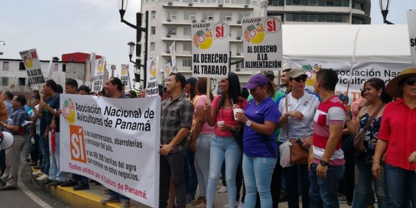 Miembros de la ANAVIP protestan en la plaza 5 de Mayo contra las importaciones 