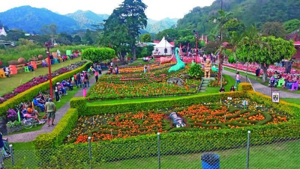Arranca la Feria de las Flores y del Café en Boquete