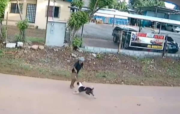 Escena de video viral del ataque del perro a la anciana