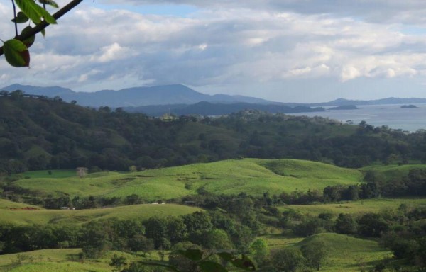 Paisaje natural en Mariato es parte del rico ecosistema abundante en fauna, flora y recursos de Panamá.