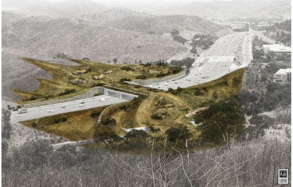 Fotografía cedida por Living Habitats y National Wildlife Federation (NWF) de un diseño conceptual de como será el Puente Para la Vida Silvestre Wallis Annenberg.