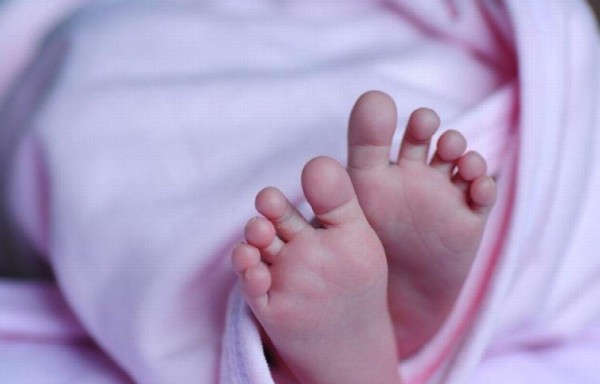Nueve neonatos murieron en la CSS.