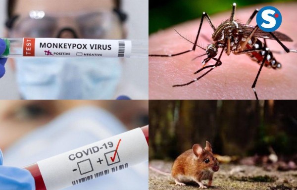 Amenazas a la salud pública: covid-19, viruela del mono, dengue y hantavirus 