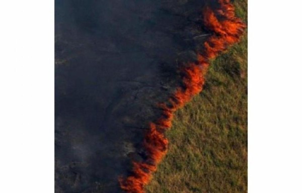El fuego no da tregua a la Amazonía.