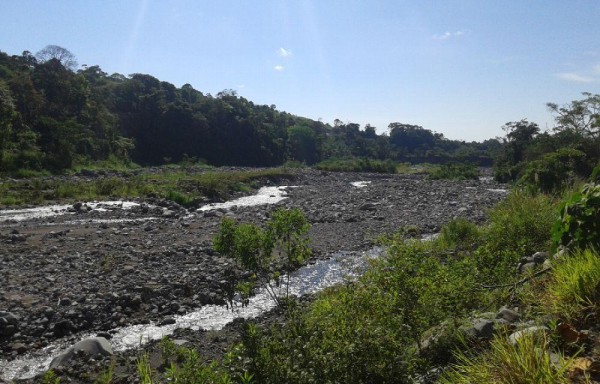 Los ríos en Panamá están casi secos producto de la construcción de hidroeléctricas pero la energía eléctrica no baja su costo.