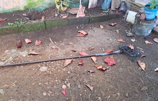 Esta es la vara que utilizó el chico para tratar de coger el perico que estaba en un árbol. Lamentable.