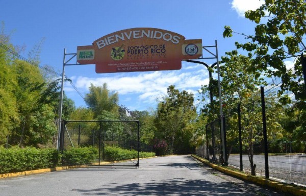 El Zoológico de Mayaguez es el único de Puerto Rico,