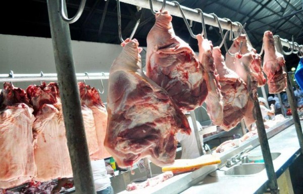 Gobierno compra carne de cerdo para programas sociales 