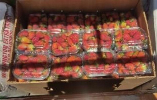 Retienen cargamento de fresas y pixbae por contrabando
