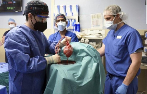 Operación tuvo siete horas de duración. Lo ven como una solución a la escasez de donantes de órganos.