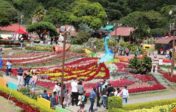 Ciudadanos recorren los jardines de la 48va. Feria Internacional de las Flores y del Café. Boquete también es conocido por ser un poblado donde se produce el café Geisha.