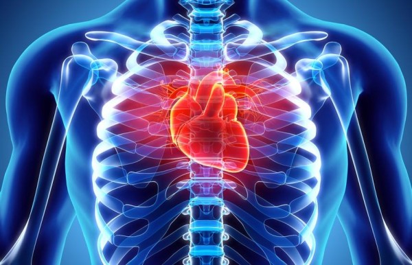Enfermedades cardiovasculares, la primera causa de muerte en diabéticos