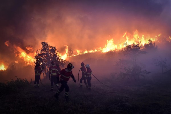 Bomberos combatían este sábado un incendio en Vila Cortes do Mondego, en Guarda, Portugal.