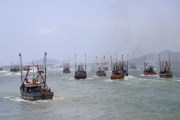 Más de 400 barcos camaroneros vuelven al mar 