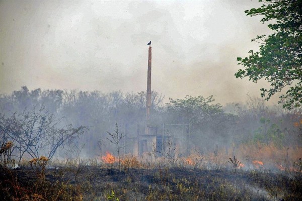 Incendios en la Amazonía registran el segundo mayor número en diez años