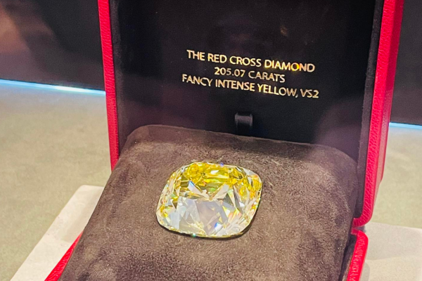 La subasta de dos de los diamantes más preciados del mundo levanta pasiones