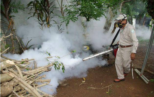 Dengue desafía la salud pública durante temporada de lluvias