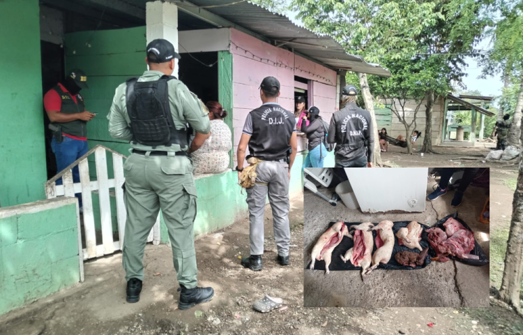 Caza ilegal: Allanan dos residencias en Chepo