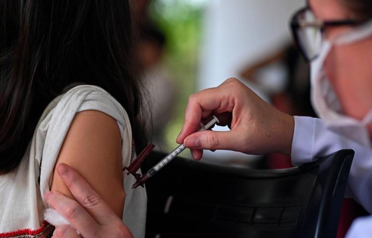 Más de 1,5 millones de vacunas contra el dengue se han distribuido en Brasil.
