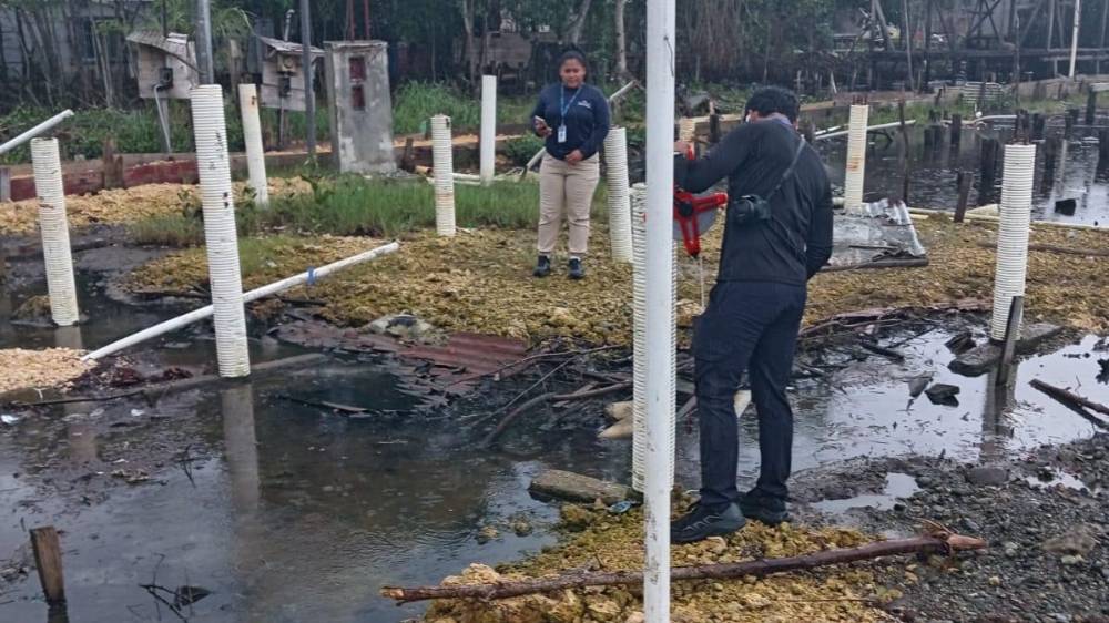 MiAmbiente investiga posible construcción ilegal en manglar de Isla Colón