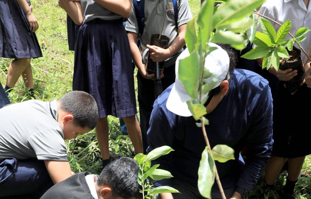 MiAmbiente lanza proyecto ‘Azuero Verde’ para restaurar ecosistemas