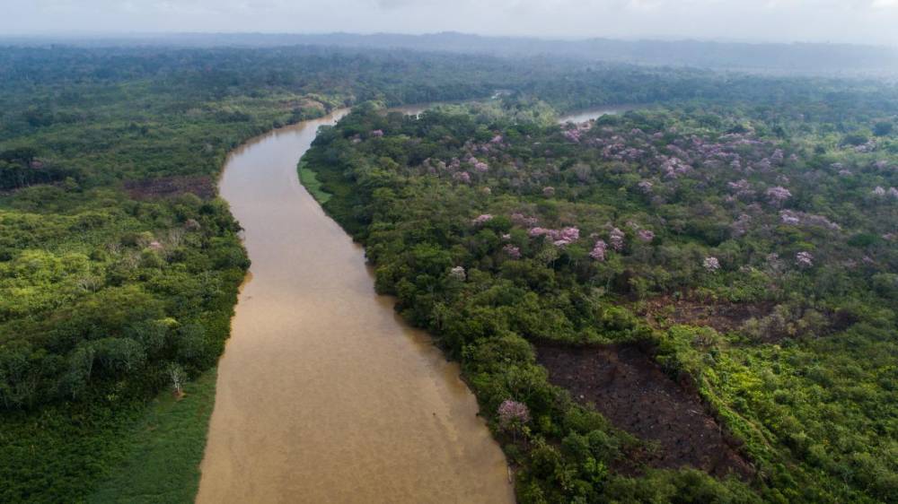 Los sitios más verdes de Panamá: un refugio de naturaleza y biodiversidad