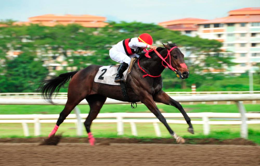 Cyrano domina y lidera la clasificación al Caribe