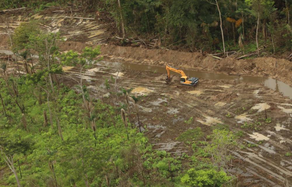 Detectan daños ambientales en humedales y bosques de Darién