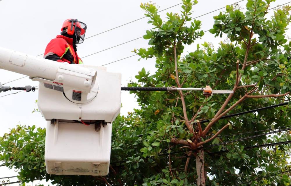 Usuarios recibirán ‘créditos’ en su factura energética