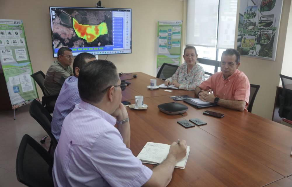 Instituto de Seguro Agropecuario analiza plan piloto para la producción de arroz