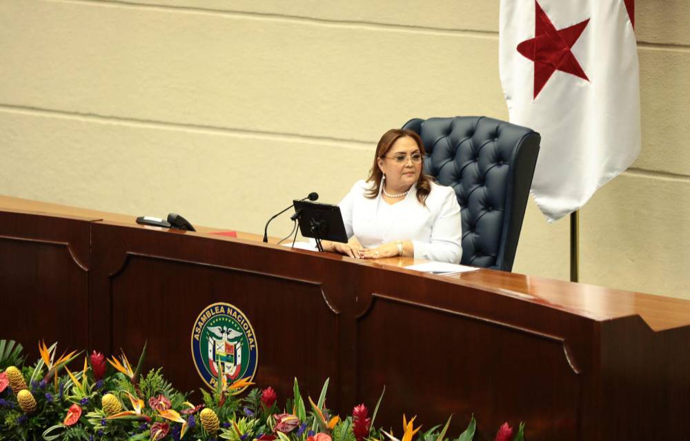 Dana Castañeda presidirá la Asamblea Nacional