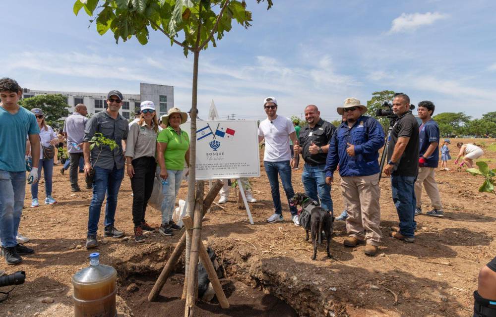 Alcalde Mayer Mizrachi lidera siembra de 1200 árboles en Don Bosco