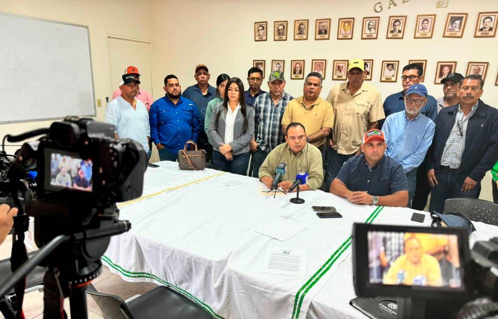 Productores están en alerta.