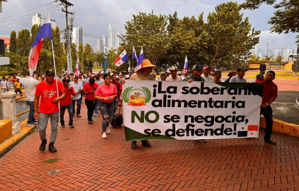 Indican que mientras los productores esperan sus pagos, se permita a otras empresas importar arroz con aranceles del 0%, generando una competencia desleal.