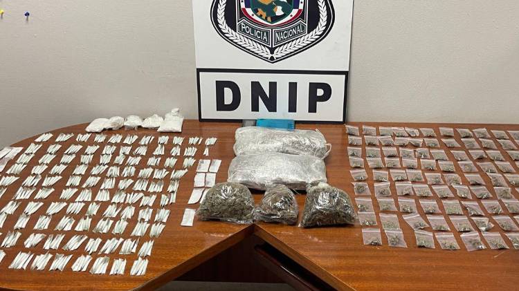 Parte de las drogas halladas en Veracruz