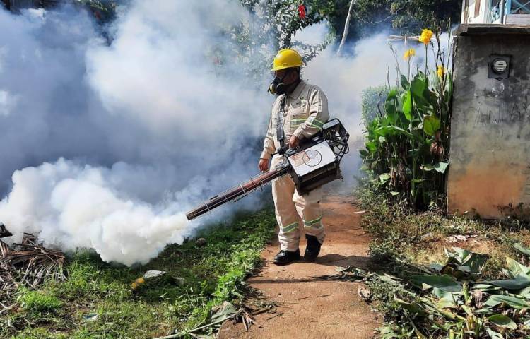 No se reportó muertes esta semana por dengue.